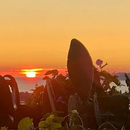 Vue Mont Des Oiseaux דירה הייר