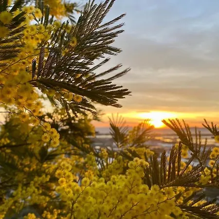 Appartamento Vue Mont Des Oiseaux