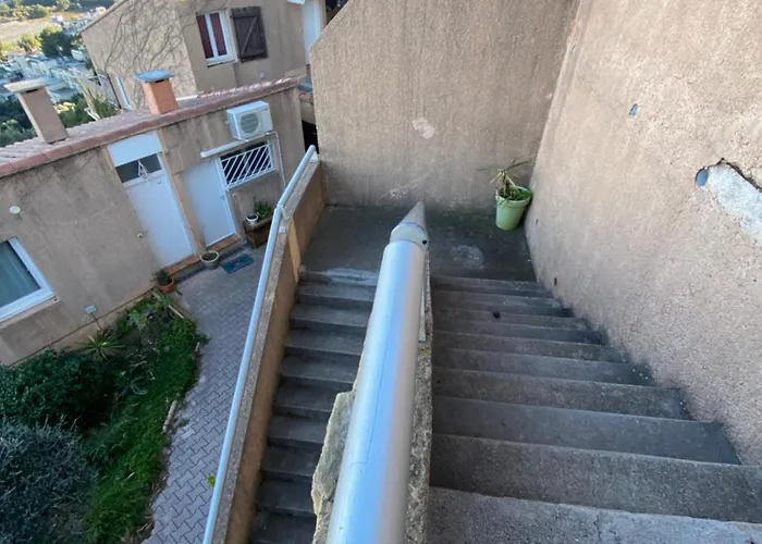 Vue Mont Des Oiseaux