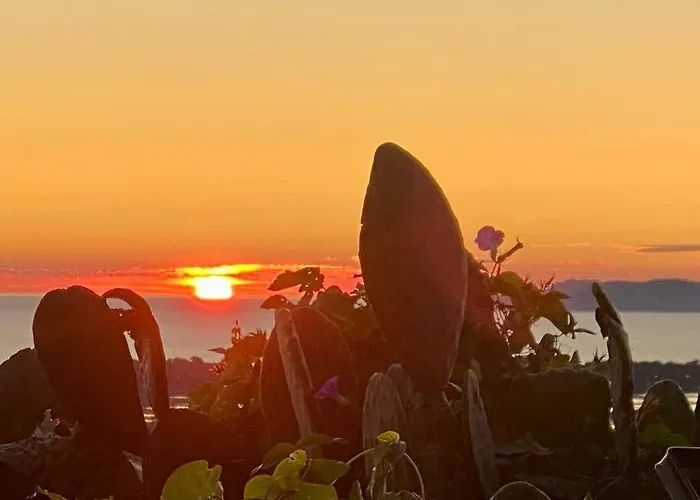 Vue Mont Des Oiseaux דירה הייר