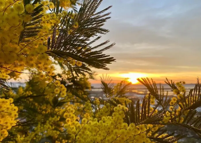 Appartement Vue Mont Des Oiseaux